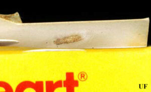 Signs of Indian Meal Moth Infestation