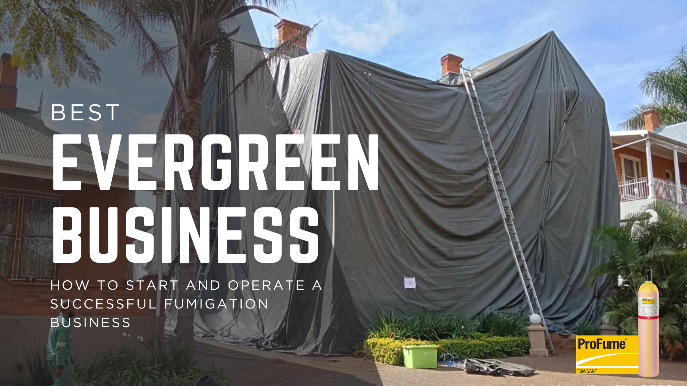 How to start a successful fumigation business South Africa